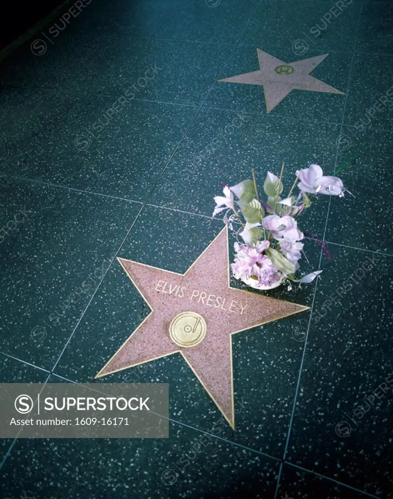 Hollywood / Hollywood Boulevard / Walk of Fame / Elvis Presley Star & Flower Bouquet, Los Angeles, California, USA