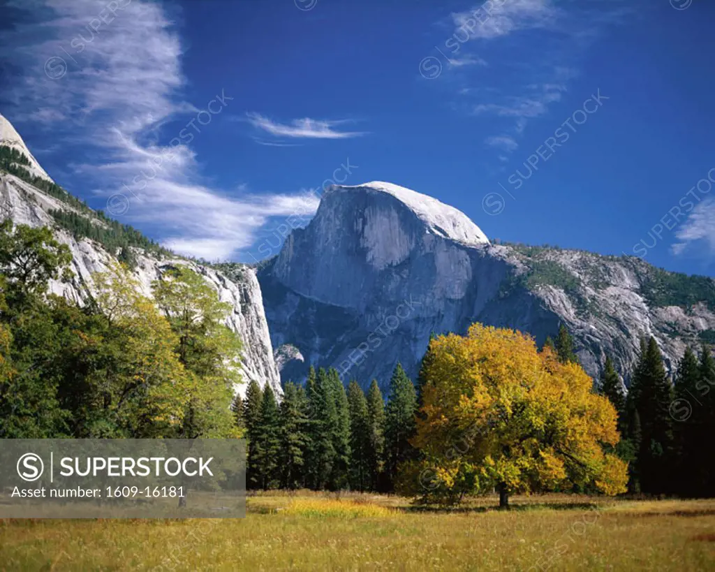 Yosemite National Park / Half Dome & Autumn Leaves, California, USA