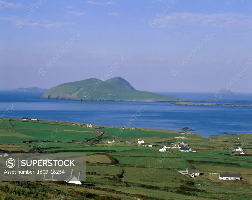 Dingle Peninsula / Rugged Coastline View, County Kerry, Ireland
