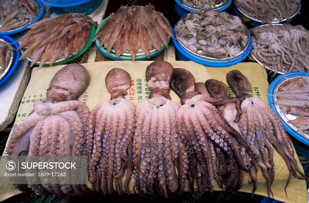 Korea, Busan, Jagalchi Market, Octopus Display