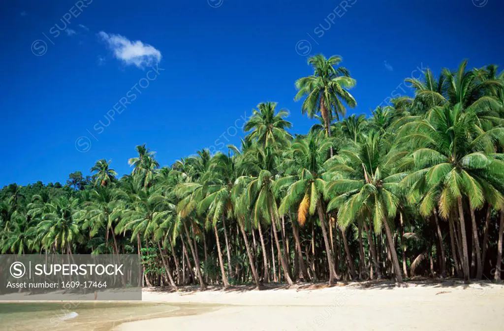 Philippines, Palawan, Bascuit Bay, El Nido, Beach Scene
