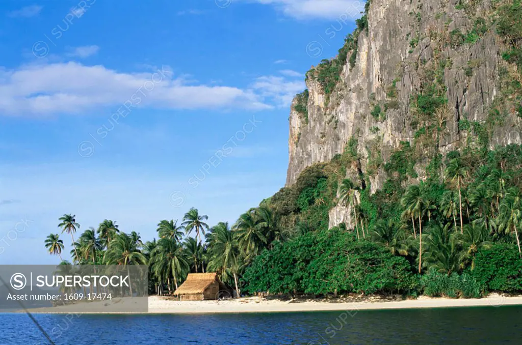 Philippines, Palawan, Bascuit Bay, El Nido, Inabuyutan Island, Thatched Hut on Palm Tree Beach