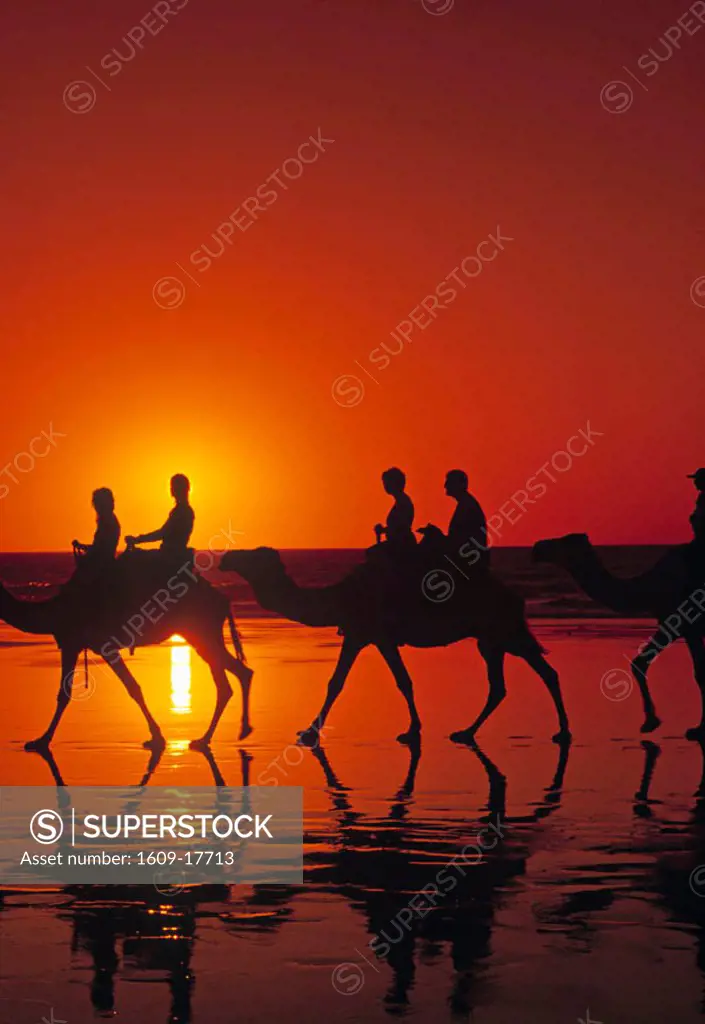Camel Trekking, Cable Beach, Broome, The Kimberley, Australia