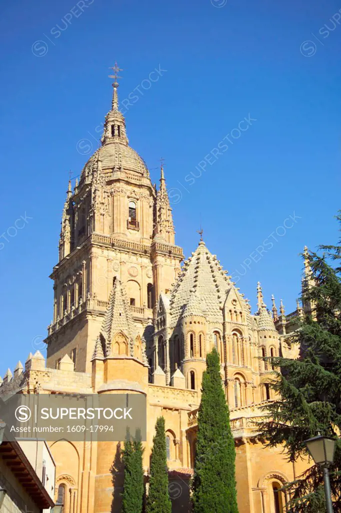Cathedral, Salamanca, Castilla y Leon, Spain