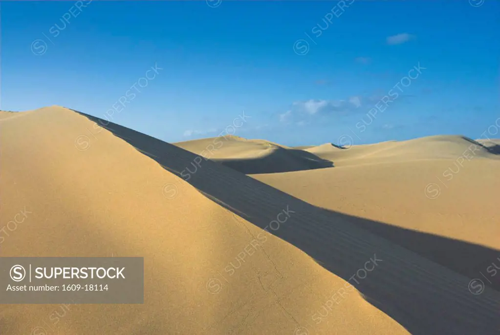Maspalomas Sand Dunes, Gran Canaria, Canary Islands, Spain