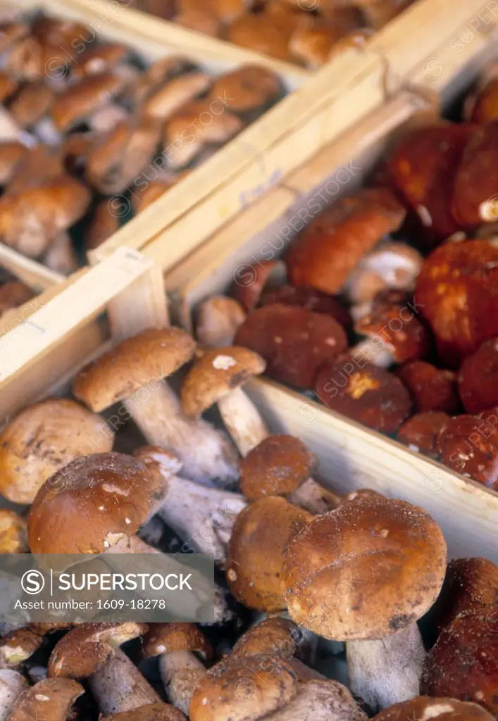 Mushrooms, Rochefort, Charente Maritime, Poitou Charentes, France