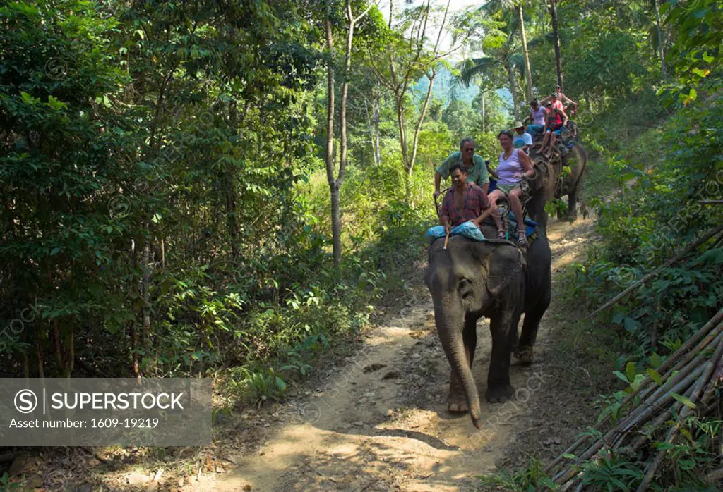 Ban Kwan Elephant Camp, Ko Chang, South Eastern Thailand