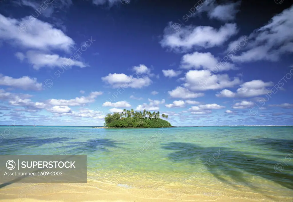 Tropical Island, Raratonga, Cook Islands