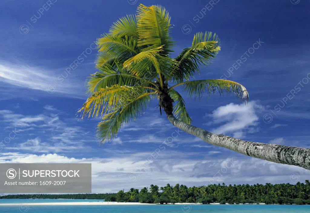 Beach, North Aitutaki Island, Cook Islands