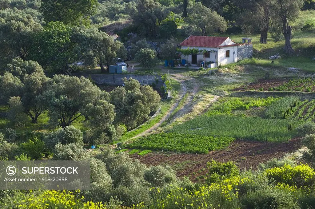 Farmhouse, Mitillini, Samos Island, Greece