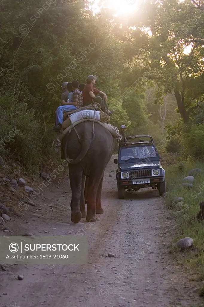 Elephant and Jeep, Corbett National Park, Himachal Pradesh, India