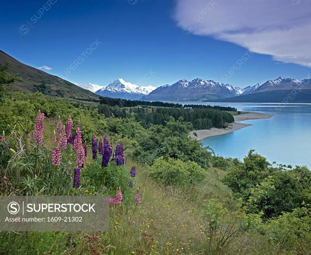 Mount Cook Aoraki, Lake Pukaki, Mackenzie Country, Canterbury, South Island, New Zealand