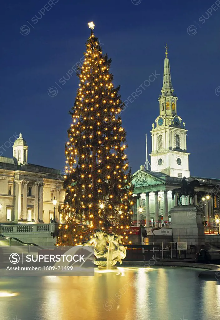 Christmas tree, Trafalgar Square, London, England