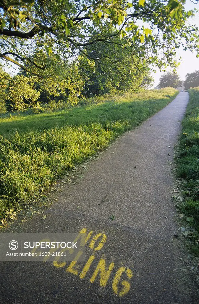 England,London,Hampstead,No Cycling Sign on Footpath in Hampstead Heath