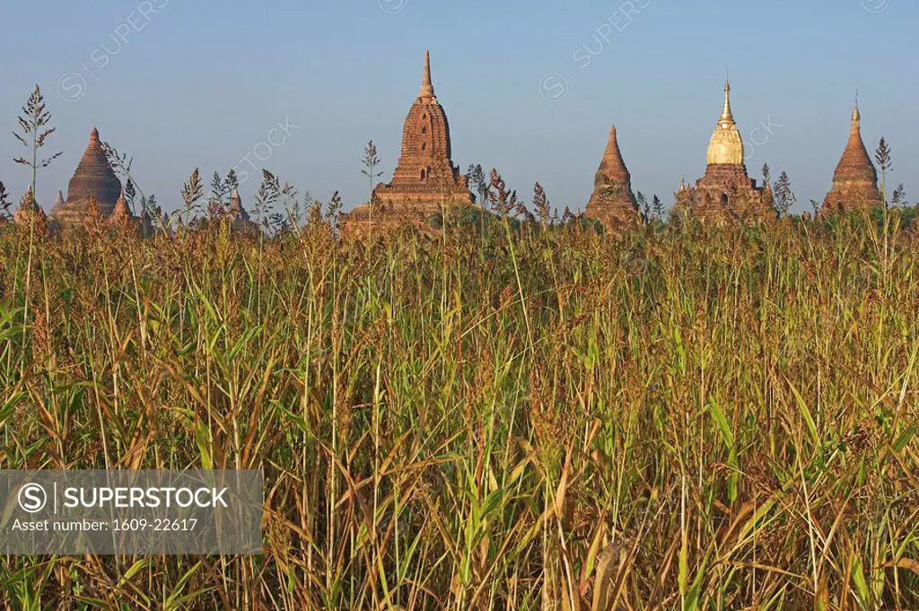 Myanmar, Bagan, Old Bagan, Stupas