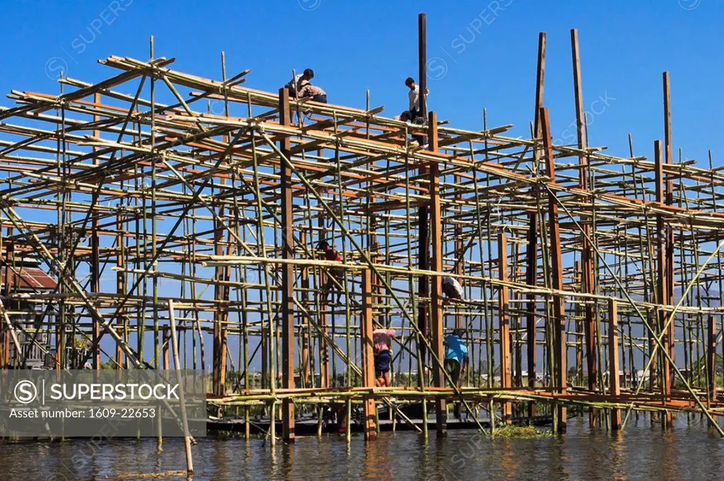 Myanmar Burma, Shan State, Inle Lake, Bamboo scaffolding