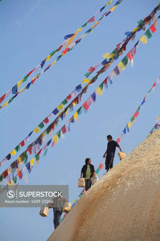 Nepal, Kathmandu, Bodhnath stupa, Lhosar Tibetan and Sherpa New Year festival, Men on stupa with buckets of limewash