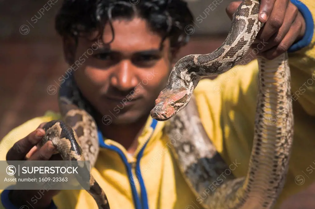 Nepal, Bagmati, Patan, Snake charmer