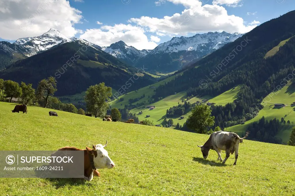 Alpbach, Tirol, Austria