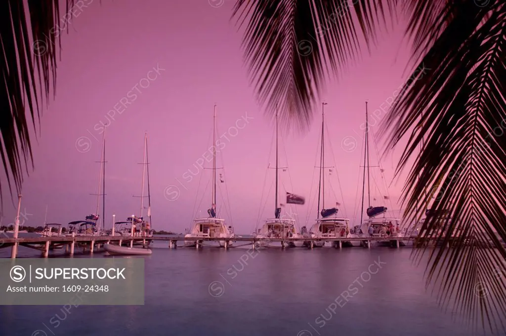 Belize, Placencia, The Moorings jetty, Catamarans at sunset