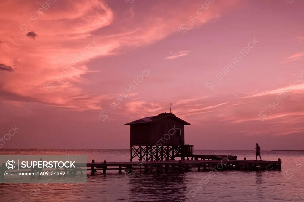 Belize, Tobaco Caye, Man on pier at sunset