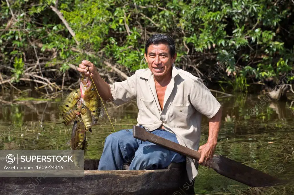 Belize, Lamanai, New River, Fisherman in dug out canoe holding up a Giant Siglet