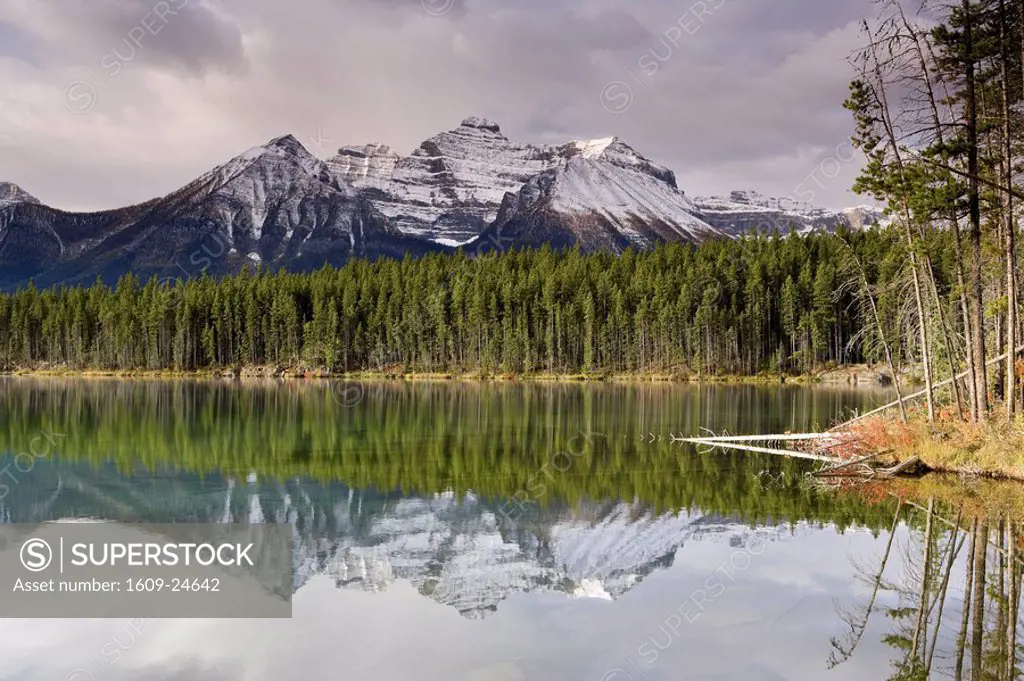 Bow mountain range & Herbert Lake, Rocky mountains, Banff National Park, Alberta, Canada
