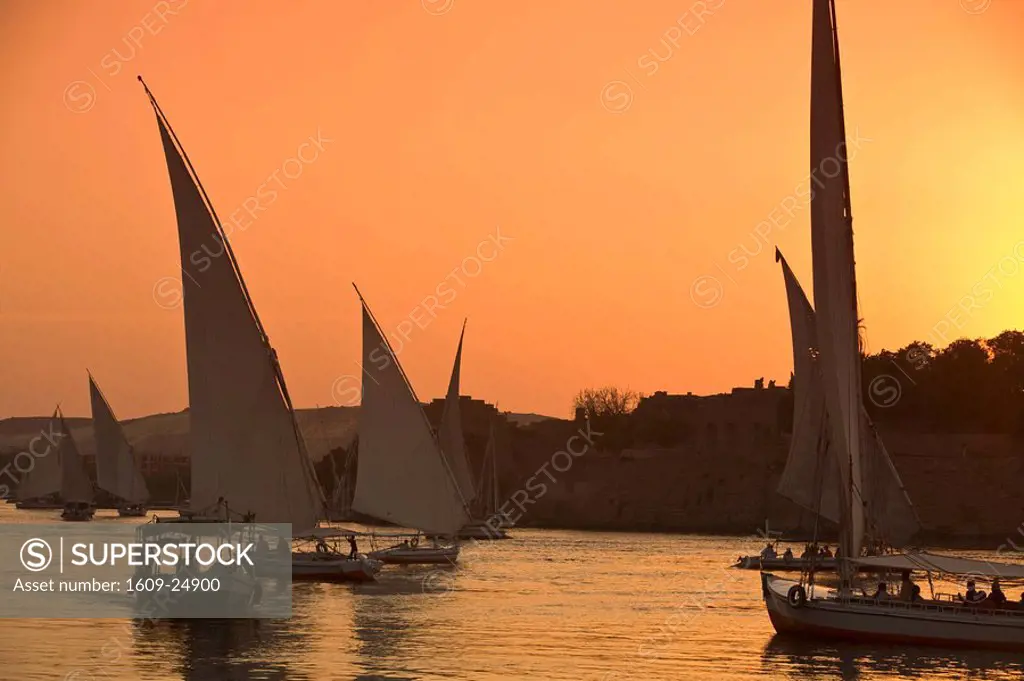 Feluccas on River Nile, Aswan, Egypt