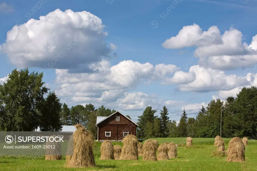 Hay Stacks & Farm, Ilomantsi, Eastern Finland, Finland