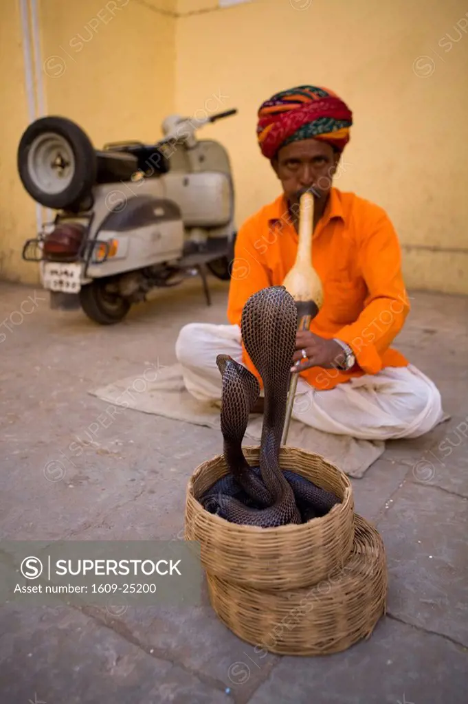 Snake Charmer, Jaipur, Rajasthan, India