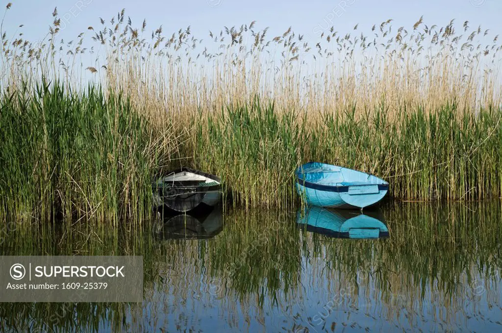 Macedonia, Ohrid, Lake Ohrid, Small Boats and Reeds