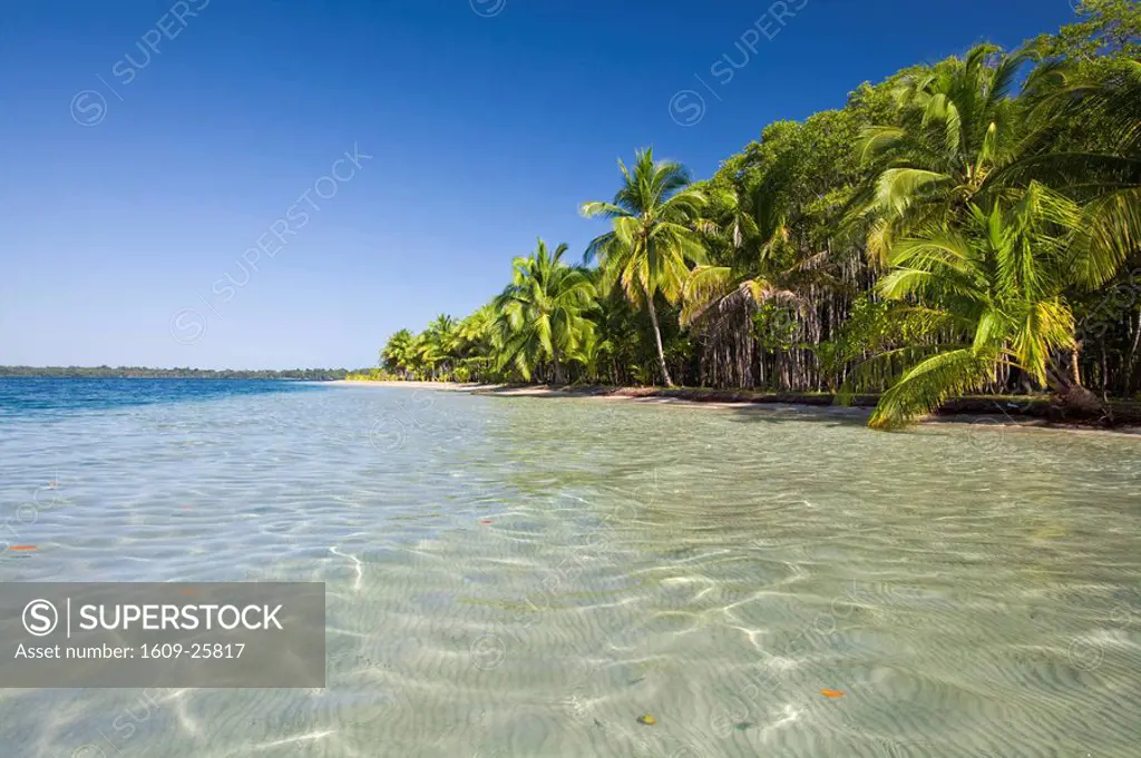 Panama, Bocas del Toro Province, Colon Island Isla Colon Star Beach