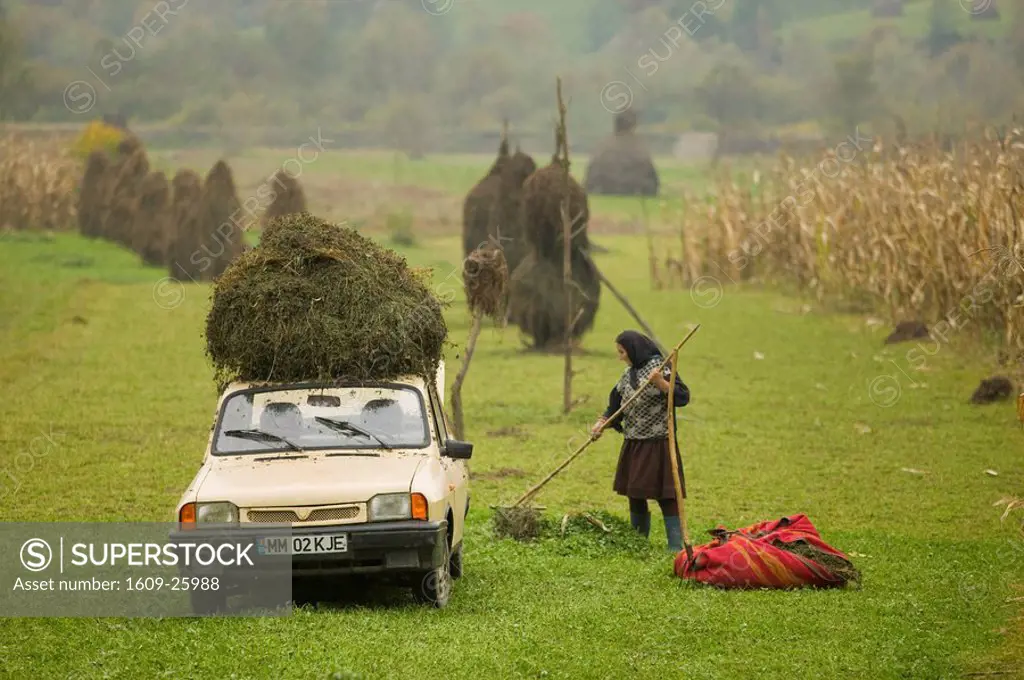 Romania, Maramures, Dacia car loaded with hay