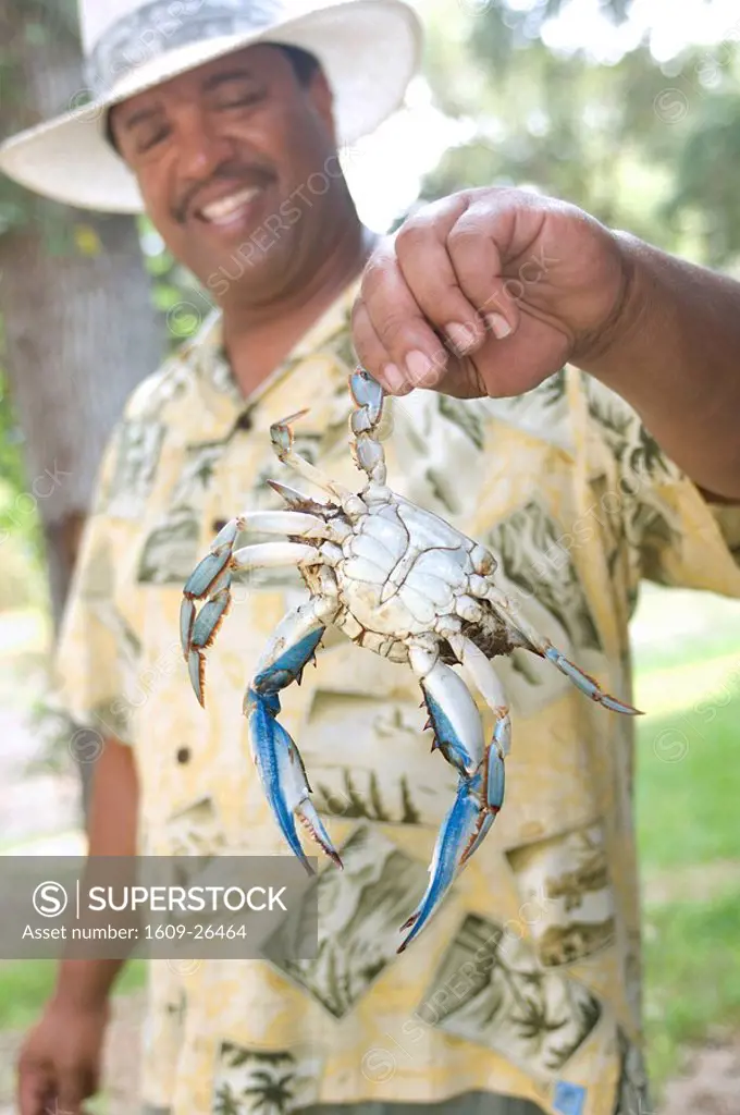 Man holding Blue crab, Amelia Island, Florida, USA