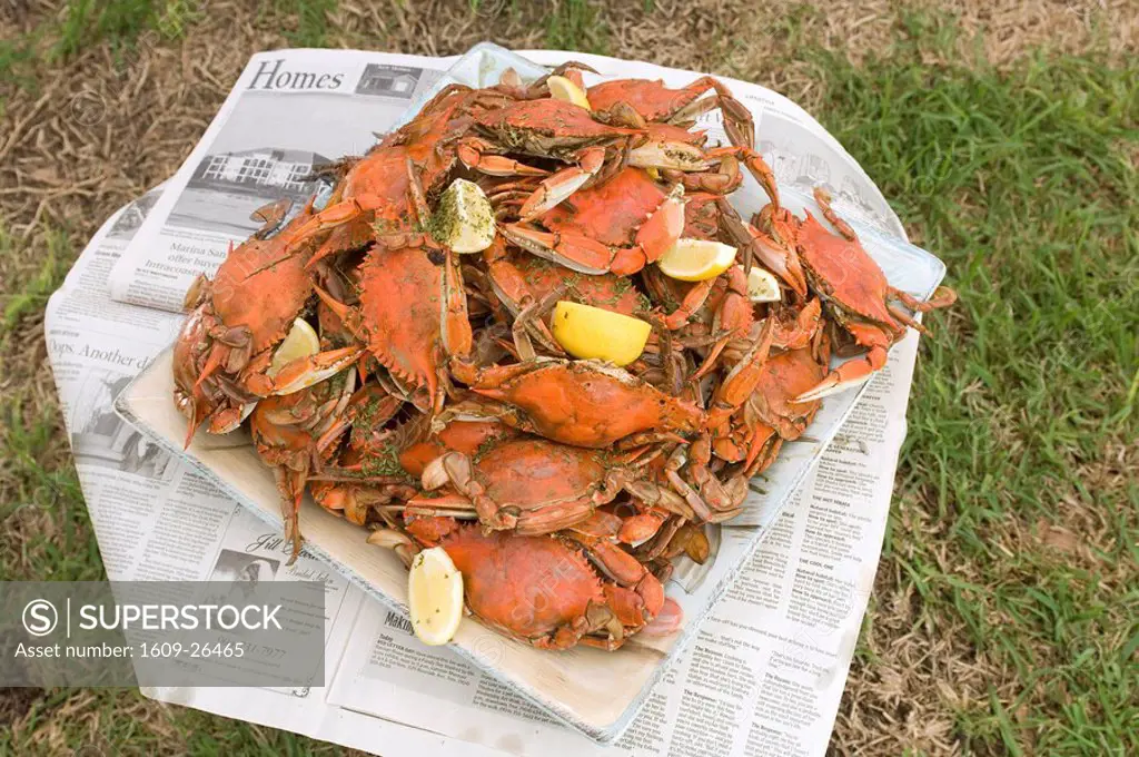 Cooked crabs, Amelia Island, Florida, USA