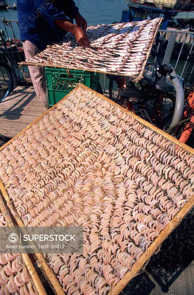 China, Hong Kong, Cheung Chau Island, Drying Shrimps