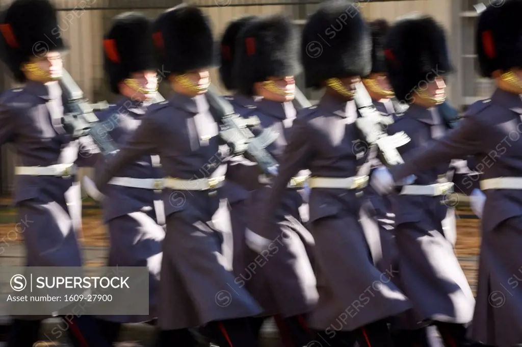 Queens Guard, Changing of Guard, London, England