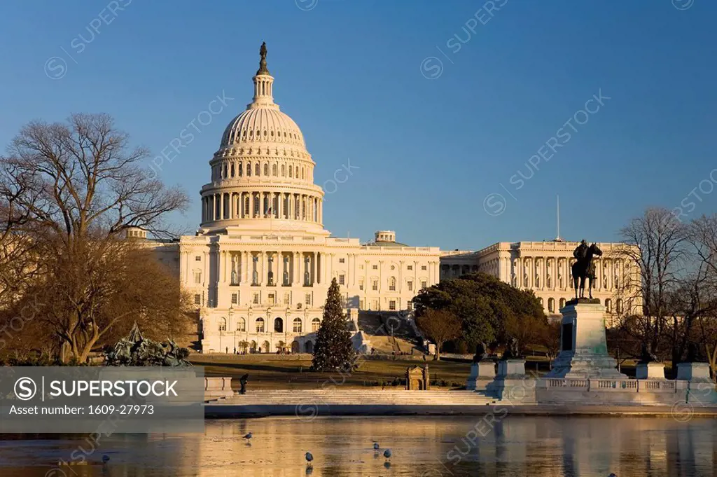 The Capitol, Washington DC, USA