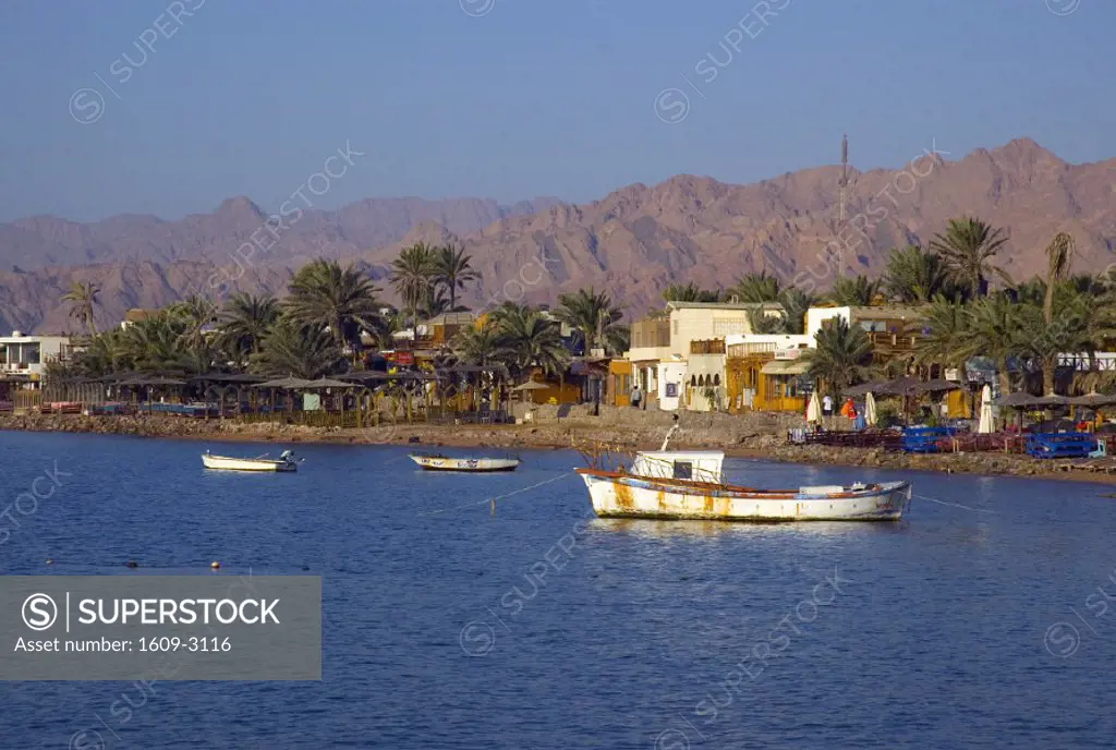 Dahab, Gulf of Aqaba, Red Sea, Sinai, Egypt