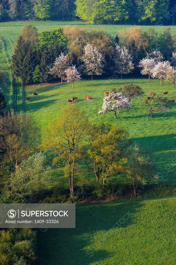 Luxembourg, Sure River Valley, Ettelbruck, countryside