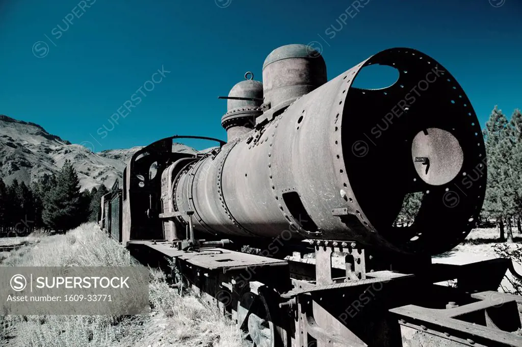 Argentina, Patagonia, Chubut Province, El Maiten, narrow guage steam locomotive museum