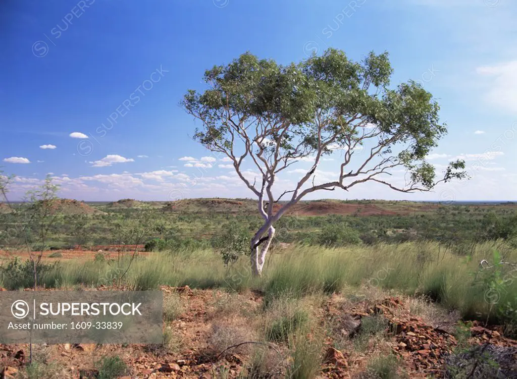 Tennant Creek, Northern Territory, Australia