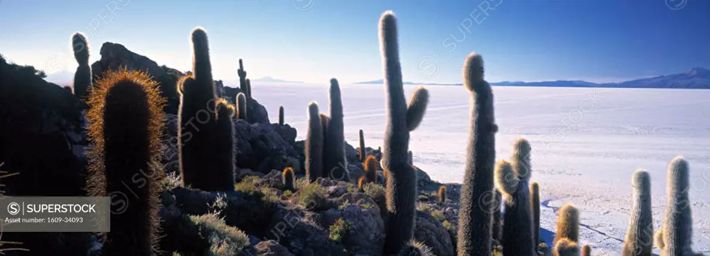 Salar de Uyuni, South West Bolivia