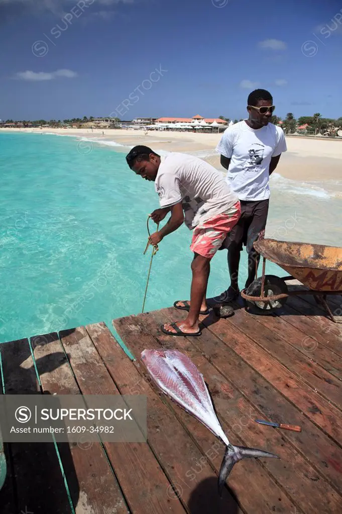 Cape Verde, Sal, Santa Maria , Fishermen selling fish on Jetty