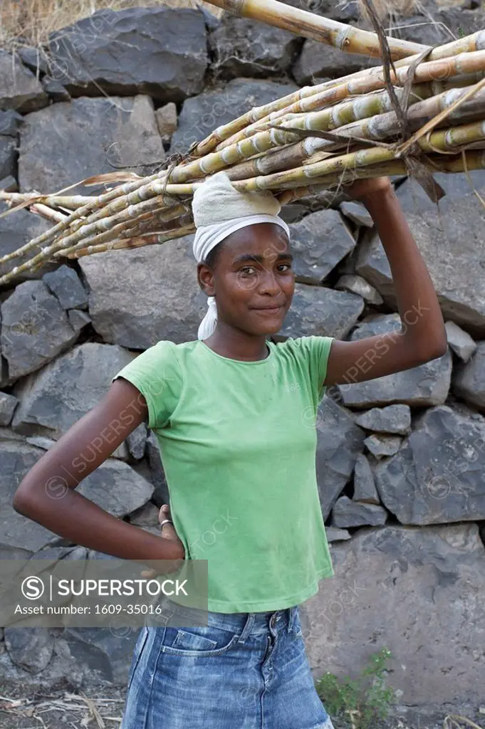 Cape Verde, Santo Antao, Ribeira do Paul Paul Valley, Sugar Cane Workers