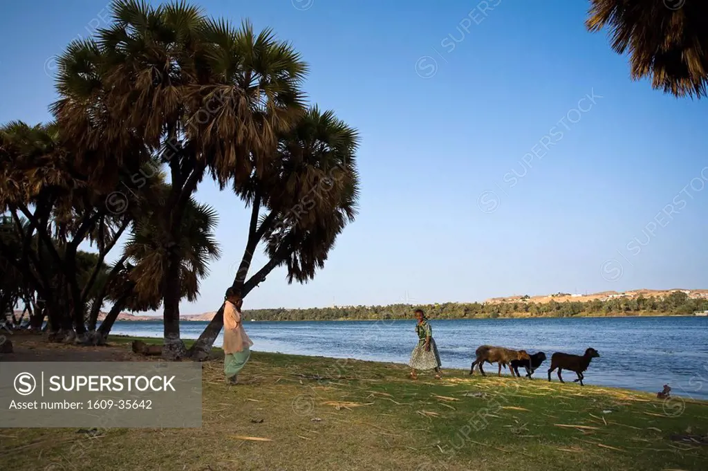 Egypt, Aswan surroundings, Nubian Village of Cubania, Nile River