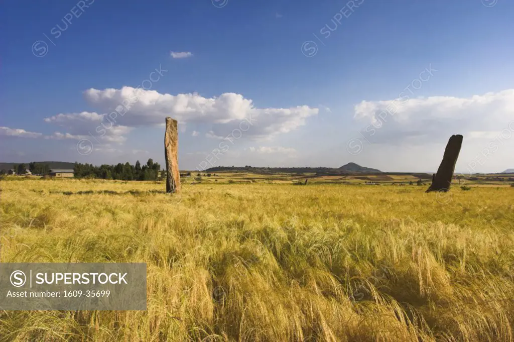 Ethiopia, Aksum, Gudit Stelae Field
