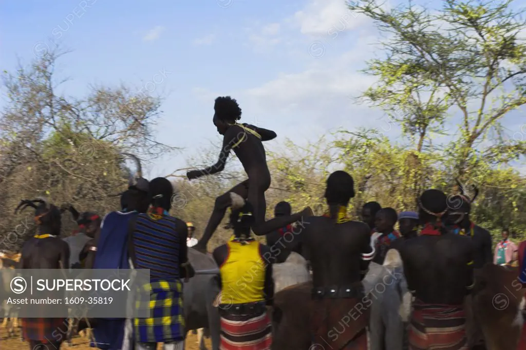 Ethiopia, Lower Omo valley, Turmi, Hamer Jumping of the Bulls initiation ceremony