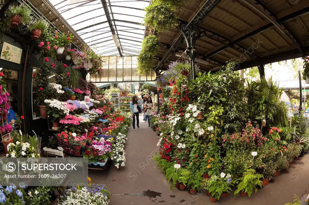 Flower market, Ile de la Cite, Paris, France