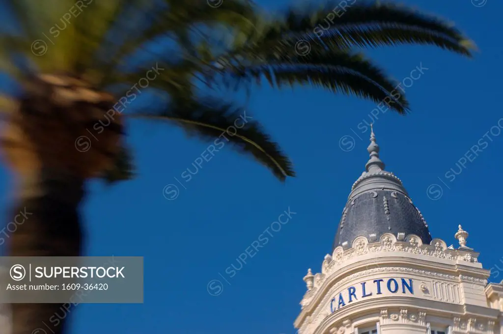 France, Provence_Alpes_Cote d´Azur, Cannes, Boulevard de la Croisette, Carlton Hotel